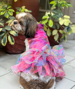 Pawgy Pets Frilly Dress Pink for Dogs