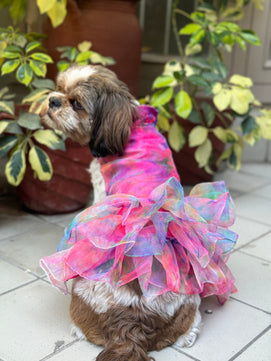 Pawgy Pets Frilly Dress Pink for Dogs