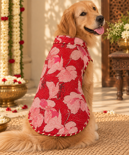 Red Sequence Kurta | Luxe Collection | Pawgy Pets