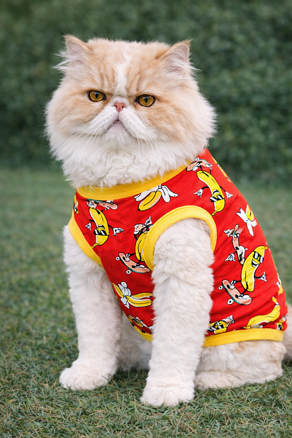 Banana T-shirt | Red | For Cats | Pawgy Pets