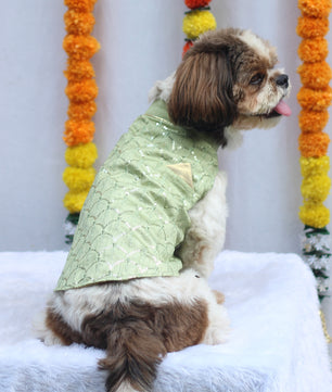 Pawgy Pets Pastel Green Shahi Kurta for Dogs