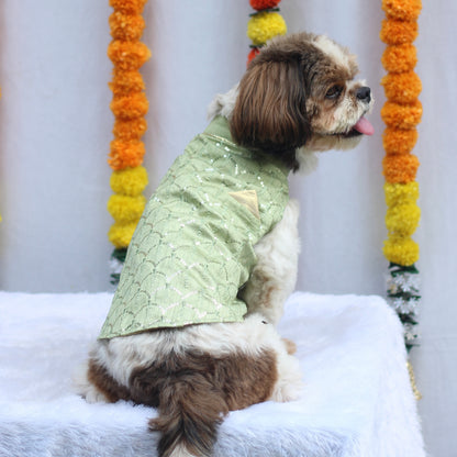 Pastel Green Shahi Kurta | For Dogs | Pawgy Pets