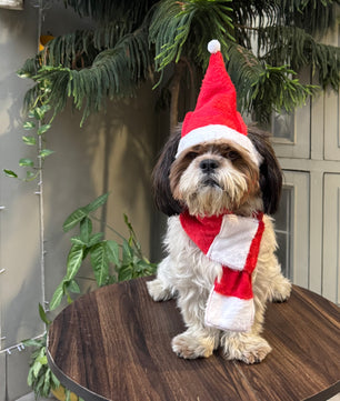 Pawgy Pets Dog Christmas Scarf