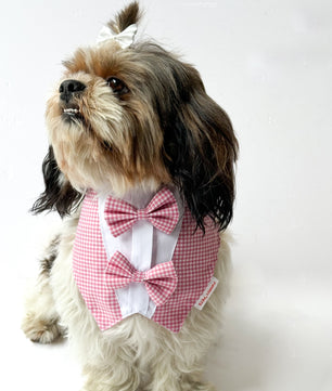 Pawgy Pets Casual Check Bandana: Pink for Dogs & Cats