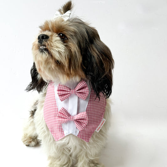 Pawgy Pets Casual Check Bandana: Pink for Dogs & Cats