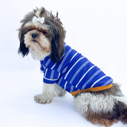 Blue Round Neck T-shirt | For Dogs | Pawgy Pets