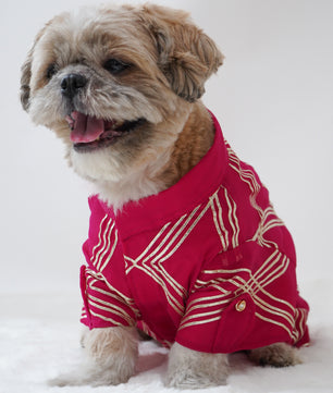 Pawgy Pets Festive Shirt Hot Pink Gota for Dogs