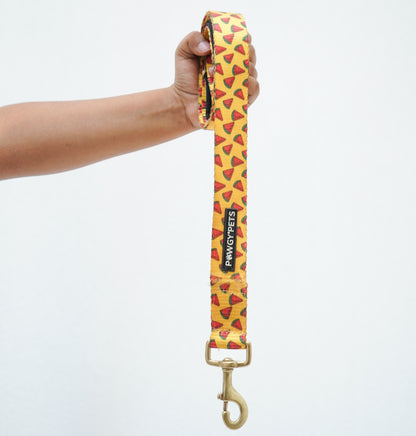 Watermelon Yellow | Premium Leash for Dogs and Cats | Pawgy Pets