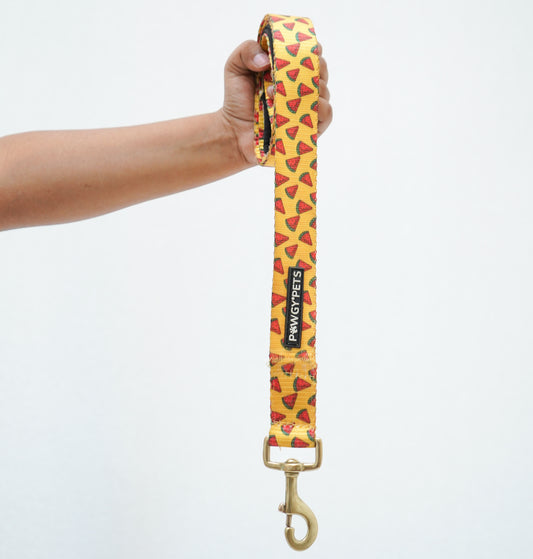 Pawgy Pets Premium Leash: Watermelon Yellow for Dogs and Cats