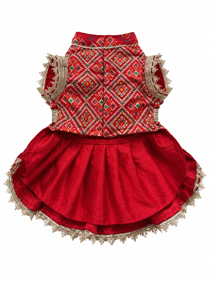 Red Patola Bridal Dress | Luxe Collection | Pawgy Pets