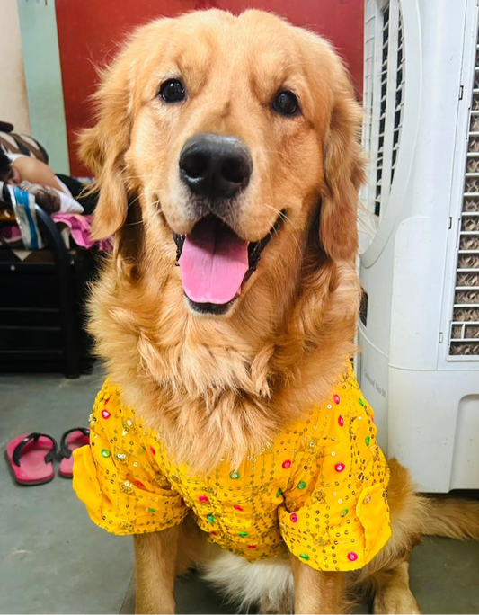 Festive Shirt: Yellow embroidery