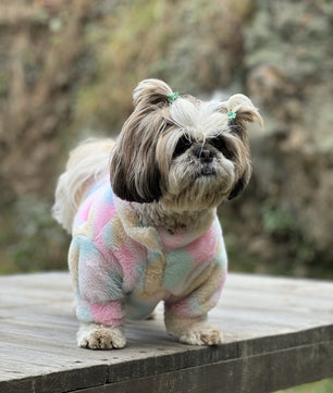 Pawgy Pets Fur sweater: Pastel Rainbow for Dogs & Cats
