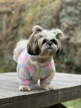 Pawgy Pets Rainbow Fur sweater for Dogs & Cats