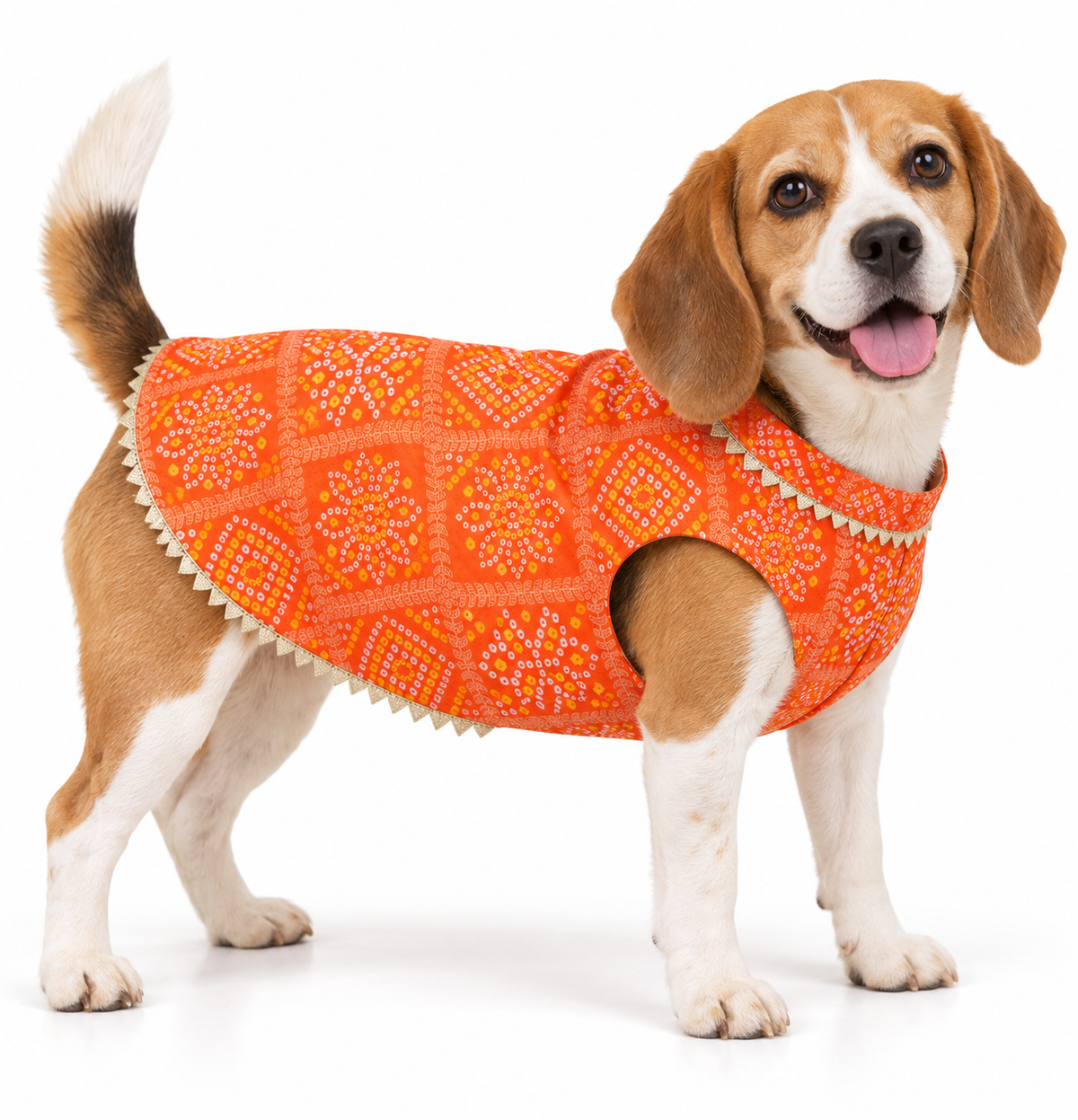 Orange Bandhani Kurta | For Dogs | Pawgy Pets