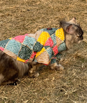 Pawgy Pets Multi-bandhej kurta for Cats