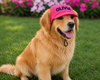 Hot Pink Cap | Personalised for Dogs | Pawgy Pets