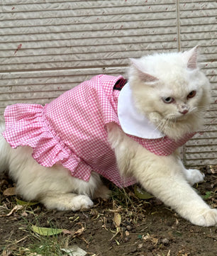 Pawgy Pets Strapy Dress Pink Checks (Cat)