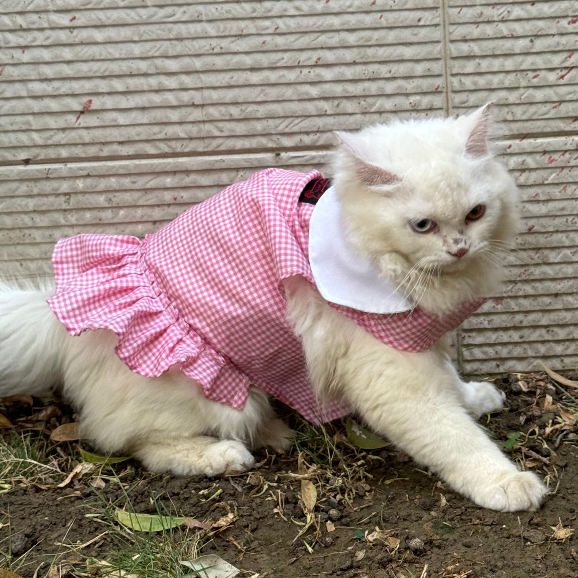 Pawgy Pets Strapy Dress Pink Checks (Cat) Pawgy Pets Strapy Dress Pink Checks (Cat)