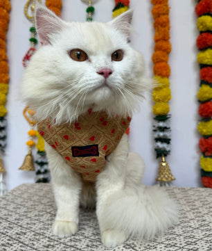 Pawgy Pets Sherwani Golden for Cats
