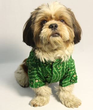 Pawgy Pets Green Bandani kurta for Dogs