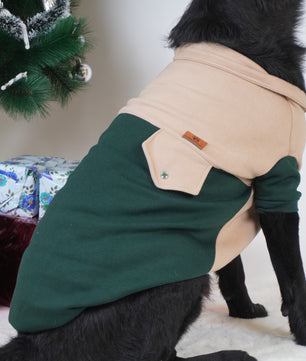 Pawgy Pets Hoodie Pet Sweatshirt - Olive green & Beige