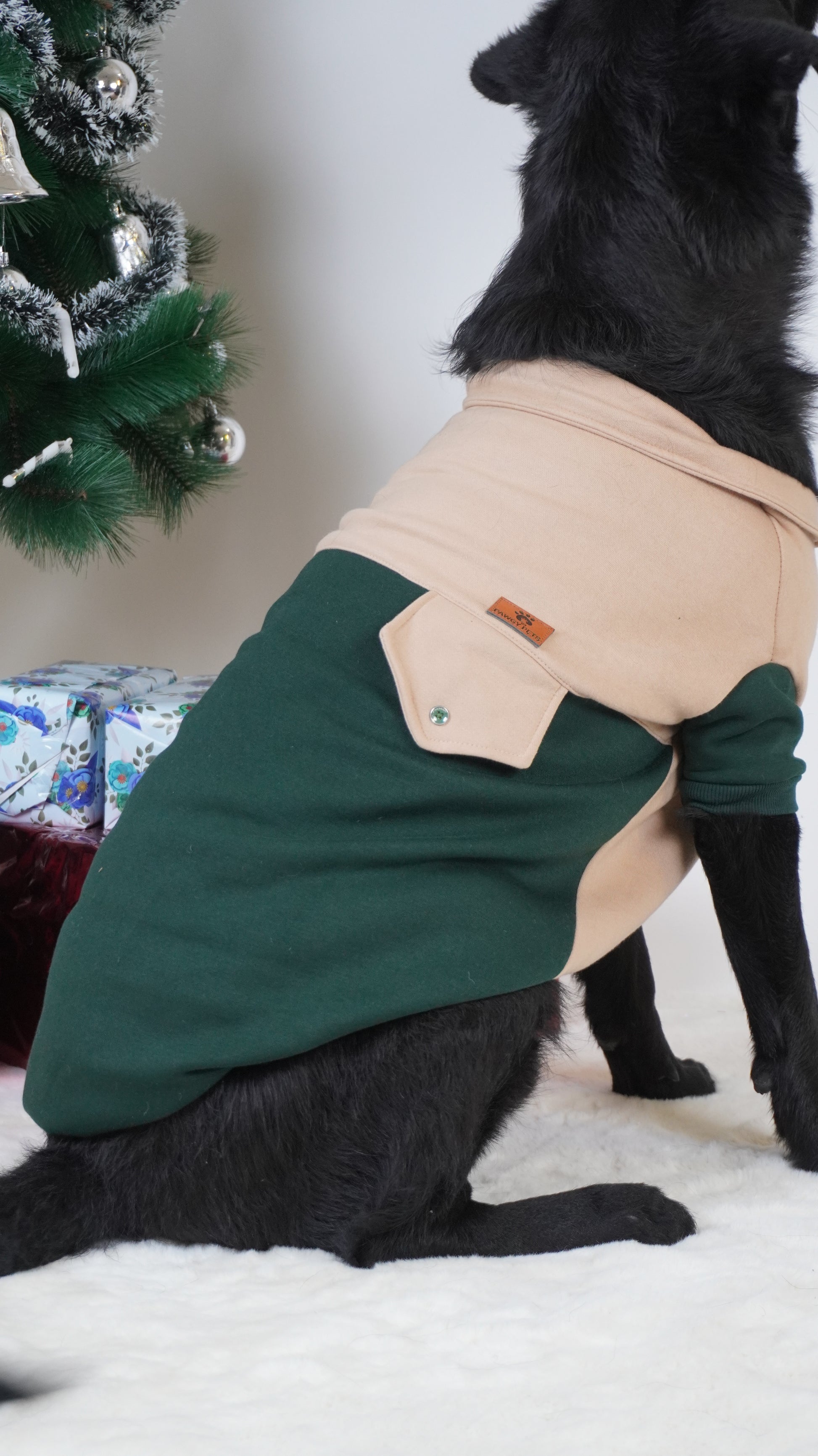 Pawgy Pets Hoodie Pet Sweatshirt - Olive green & Beige