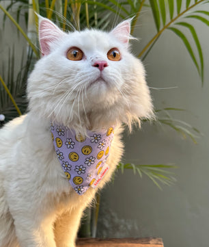 Pawgy Pets Casual Bandana: Smiley Lavender for Cats and Dogs