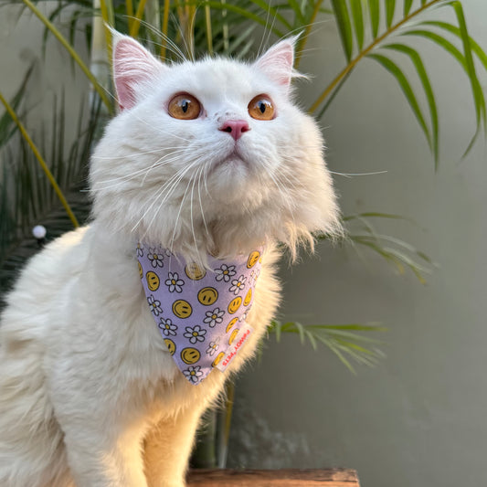 Pawgy Pets Casual Bandana: Smiley Lavender for Cats and Dogs