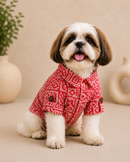 Rust Cotton Kurta | For Dogs | Pawgy Pets