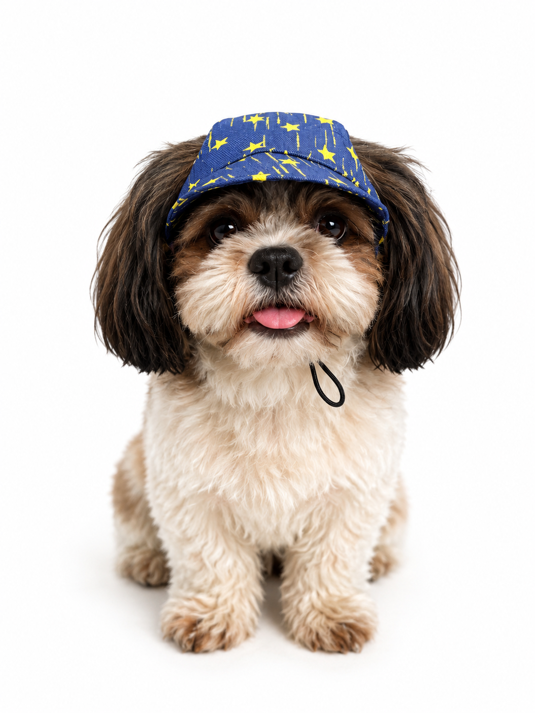 Denim Yellow Star Cap | For Dogs | Pawgy Pets