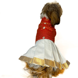 South Indian Traditional Kurta-Mundu Red for Dogs