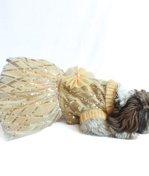 Pawgy Pets Tutu Dress Golden for Dogs and Cats