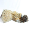 Golden Tutu Dress | Luxe Collection | Pawgy Pets