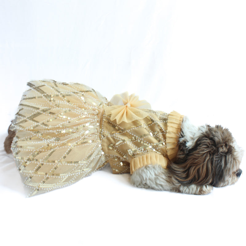 Golden Tutu Dress | Luxe Collection | Pawgy Pets