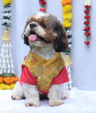 Pawgy Pets Kurta Koti Peach & Yellow for Dogs