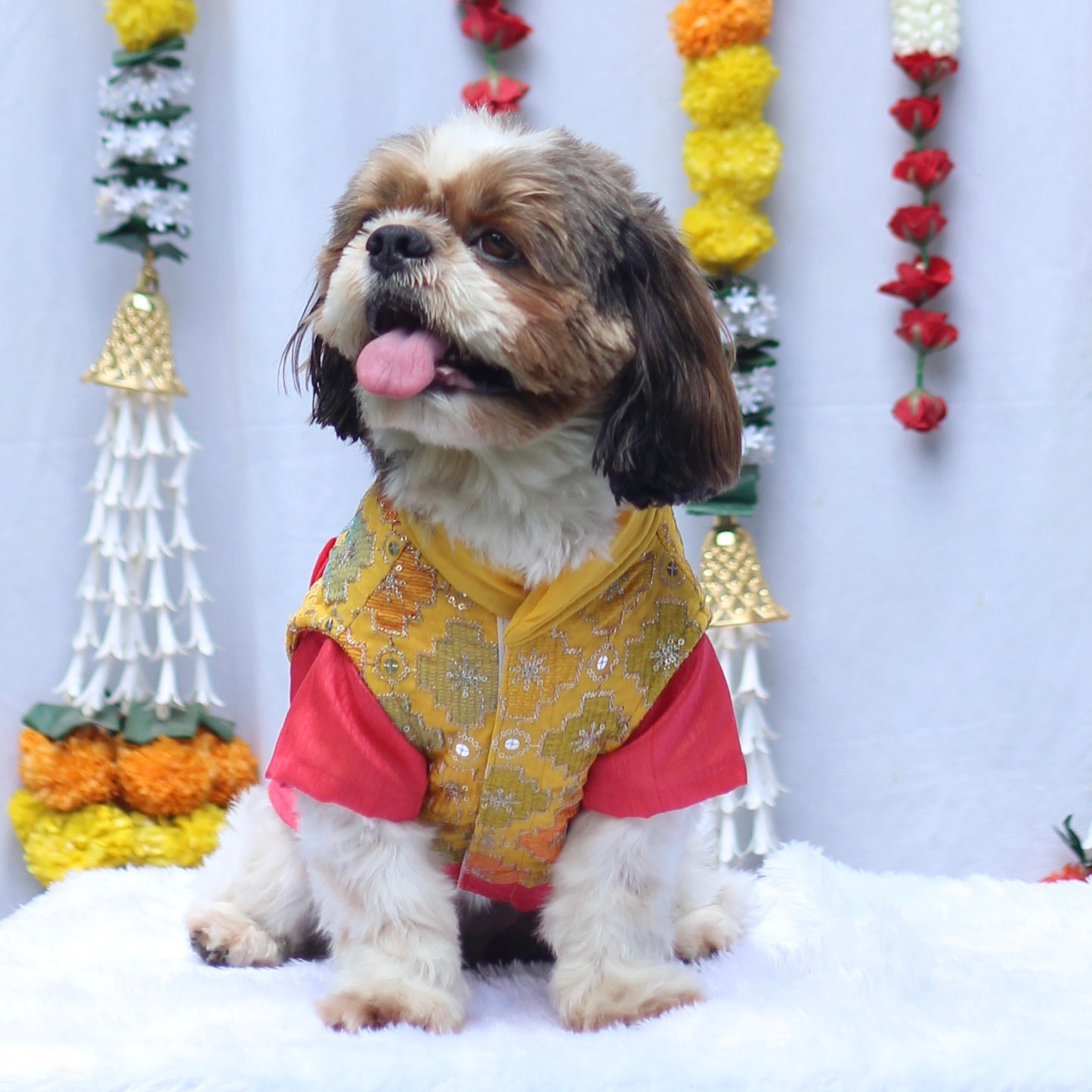 Peach & Yellow Kurta Koti | For Dogs | Pawgy Pets