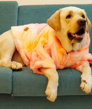 Pawgy Pets Fur sweater: Shades of Orange or Dogs & Cats