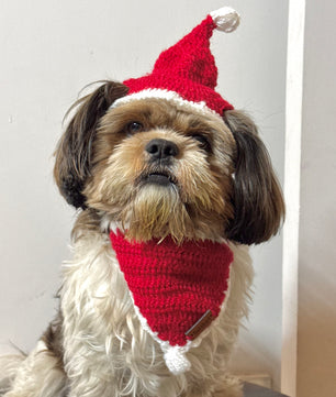 Pawgy Pets Christmas Cap and Bandana set for Dogs and Cats