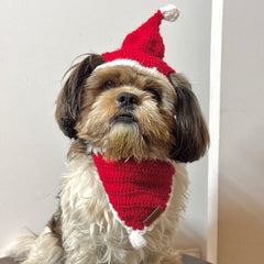 Pawgy Pets Christmas Cap and Bandana set for Dogs and Cats