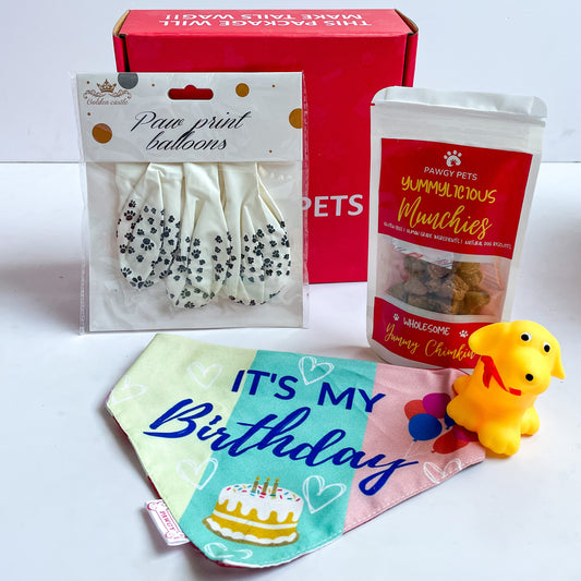 Pawgy Pets Birthday Box Mini for Dogs & Cats