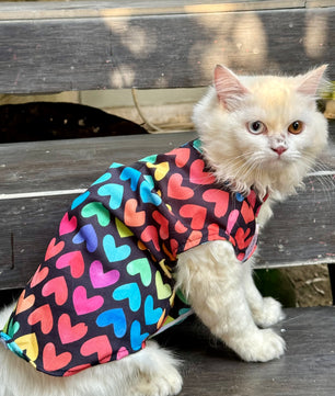 Pawgy Pets Multi Heart Sando (Cat)