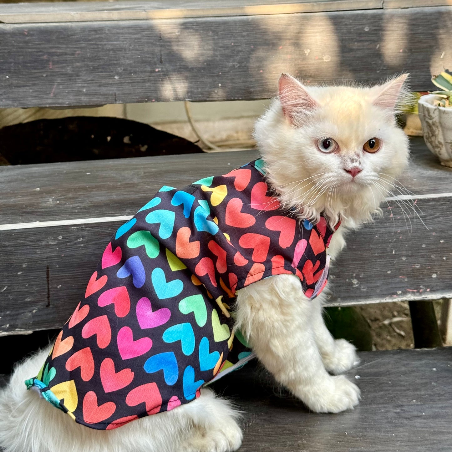 Pawgy Pets Multi Heart Sando (Cat)