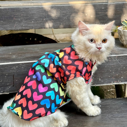 Pawgy Pets Multi Heart Sando (Cat)