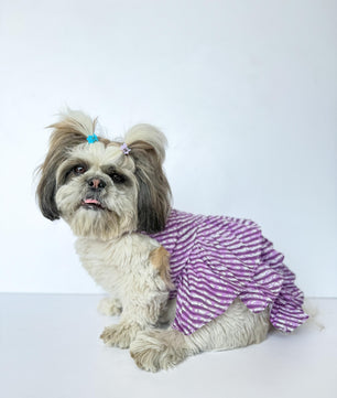 Dog Dress, Female dog dress, shihtzu birthday dress, dog birthday dress Pawgy Pets Dog Dress, Female dog dress, shihtzu birthday dress, dog birthday dress Pawgy Pets