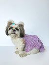Purple Lehriya Dress | For Dogs | Pawgy Pets