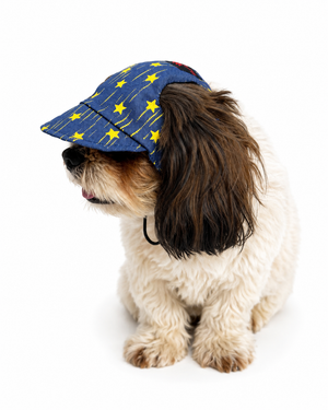 Denim Yellow Star Cap | For Dogs | Pawgy Pets