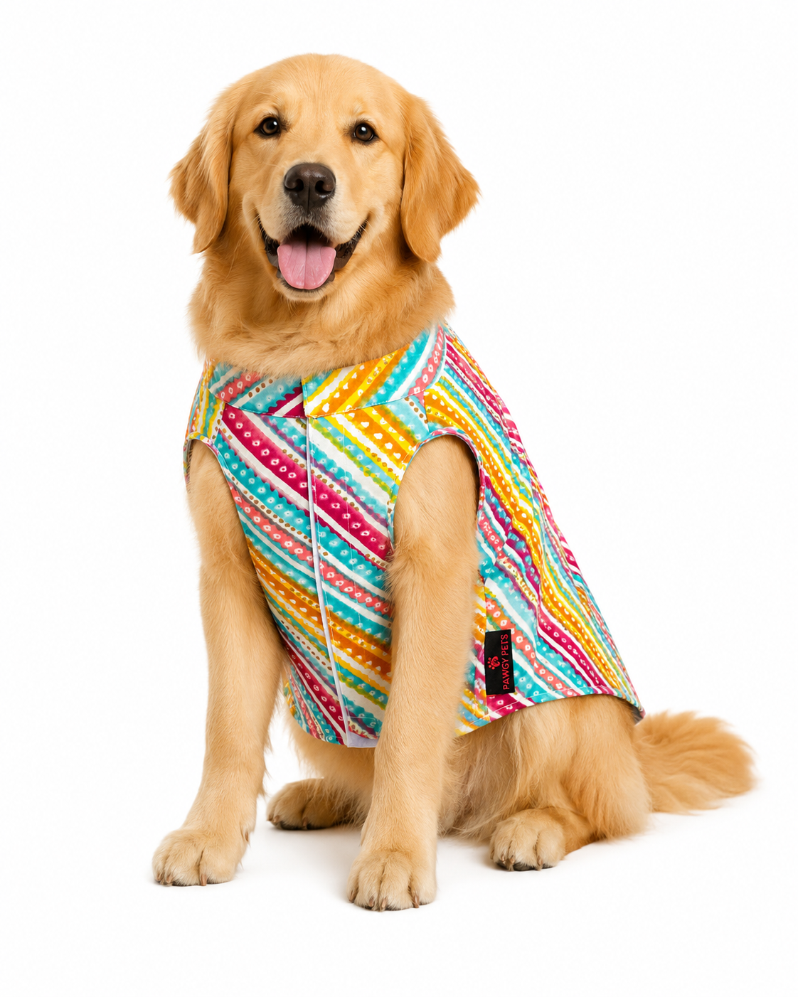 Multi Lehriya & Bandani Kurta Set | Pack of 2 | Pawgy Pets