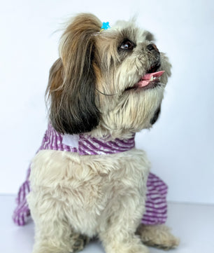 Pawgy Pets Lehriya Dress Purple for Dogs