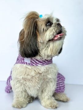 Pawgy Pets Lehriya Dress Purple for Dogs