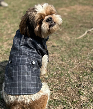 Luxe by Pawgy Pets Grey Check  Bowtie Tuxedo